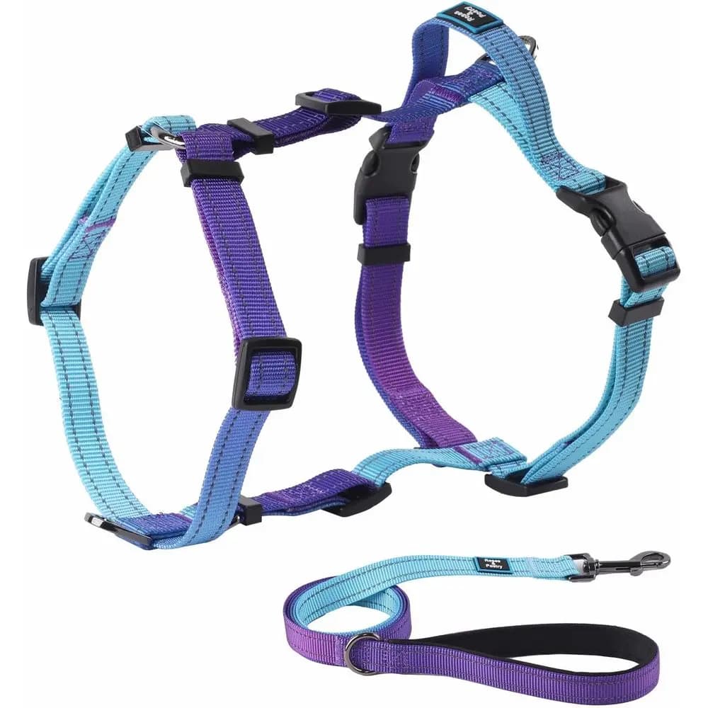 Set Guinzaglio Compatto per Cani, Imbracatura Riflettente Regolabile Anti-Trazione, Maniglia Imbottita Confortevole per Addestramento e Passeggiate all'Aperto
