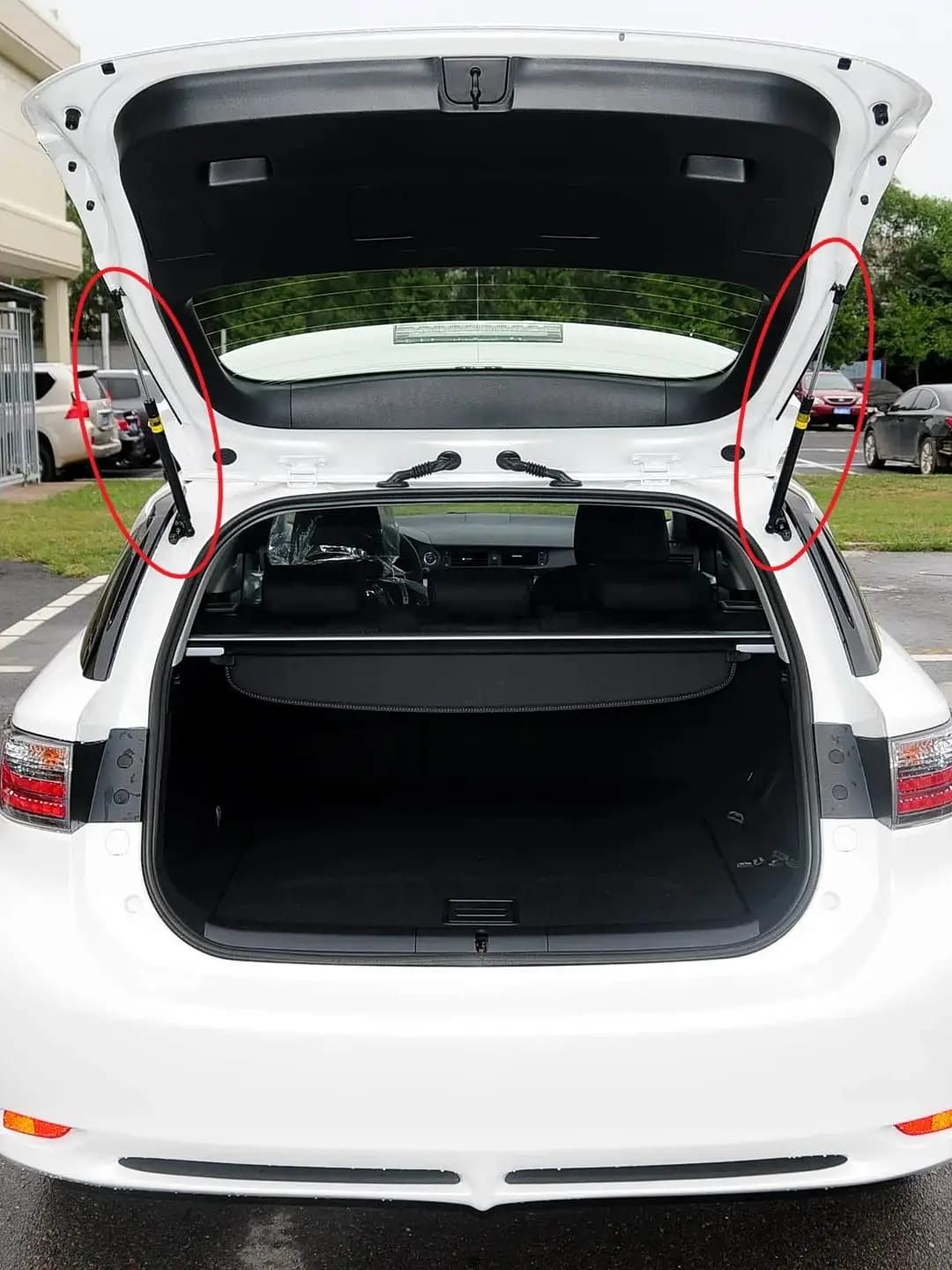 2 Pezzi Supporti Ammortizzatori a Gas per Portellone Posteriore per Lexus CT 200h CT200h ZWA10 Hatchback 2010-2022