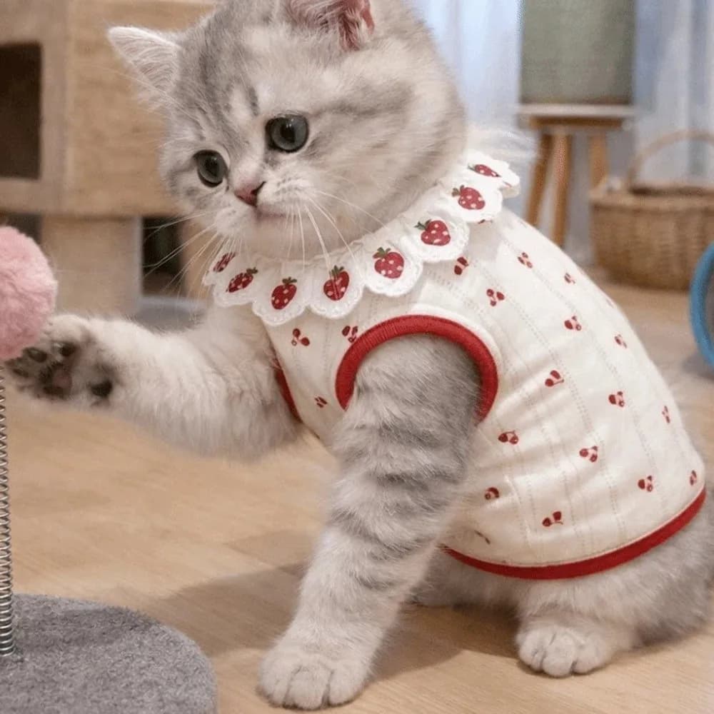 Fashion Ruffled Collar Cat Strawberry Vest Breathable Cherry Pattern Dogs Short Sleeve Thin Soft Pet T-shirt Indoor Wear