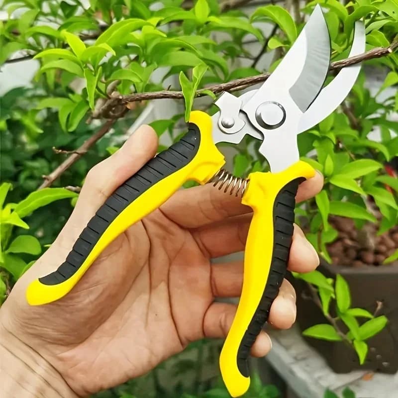 Stainless steel professional garden shears for pruning branches fruit trees flowers and grafting household pruning tools