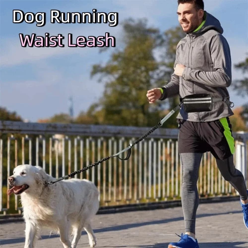 Guinzaglio da corsa per cani con striscia riflettente, retrattile, a doppia/singola corda, con tasca con cerniera e maniglie imbottite