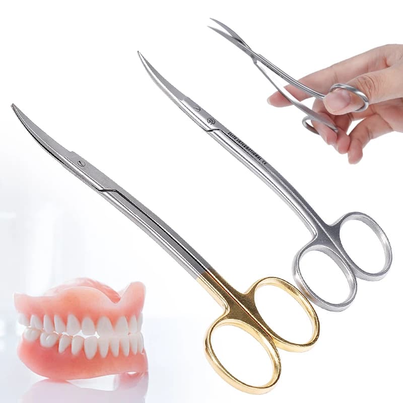 Forbici Dentali a Doppia Curvatura, Forbici Chirurgiche in Acciaio Inossidabile, Forbici a Doppia Curvatura con Manico Oro e Argento, Strumenti Dentali