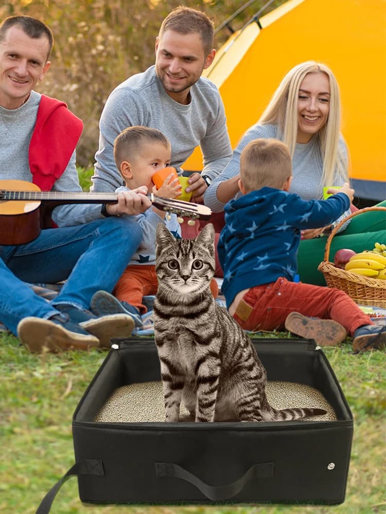 Lettiera da viaggio per gatti Custodia da trasporto impermeabile pieghevole a prova di perdite con maniglia per coperchio per hotel, auto, campeggio, forniture per animali domestici all'aperto