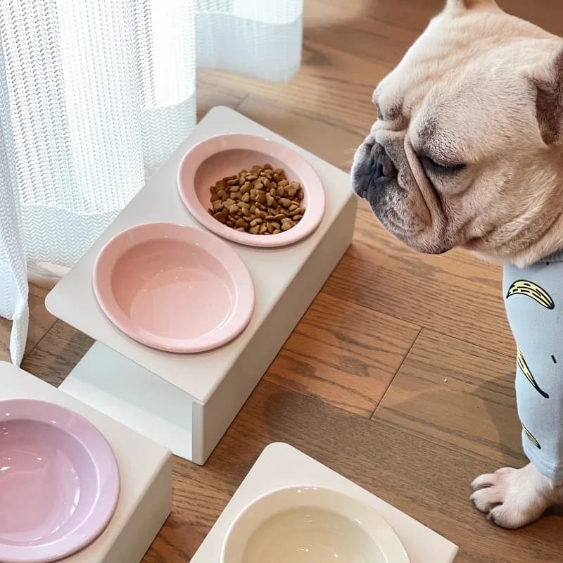 Ciotole per animali domestici rialzate in ceramica Piatto doppio inclinato Ciotola per cani per gatti Supporto ergonomico per il collo Alimentatore Ciotole per acqua antiscivolo per gatti