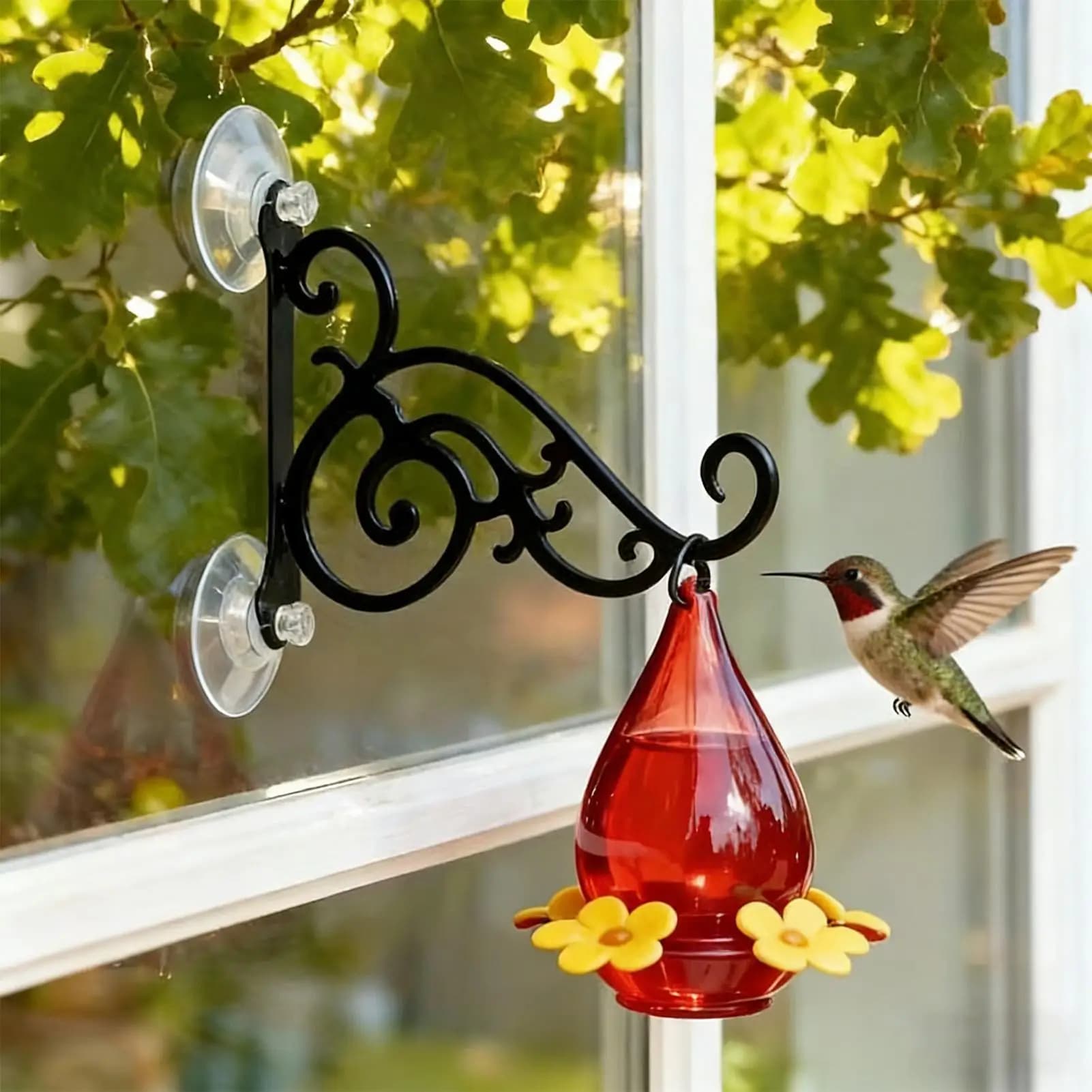Supporti per Mangiatoie per Uccelli con Ventosa per Finestra, Gancio Resistente per Esterni, Supporto per Mangiatoia per Colibrì da Giardino