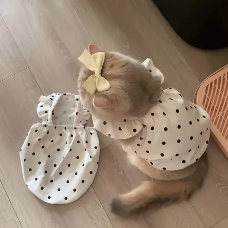 Vestito Estivo Sottile e Traspirante per Gatti, Protezione Solare, Sfumatura Dorata, per Ragdoll, Devon Rex e Gattini