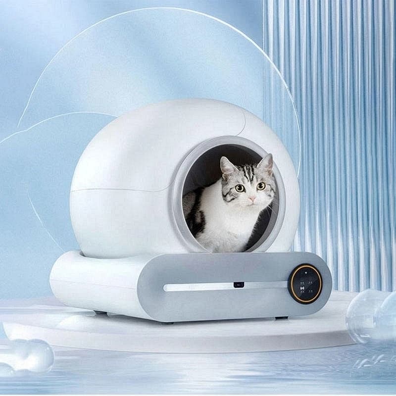 Lettiera Automatica per Gatti BLW02-P, Lettiera Intelligente con Base Antiaderente, Facile da Pulire, a Risparmio Energetico