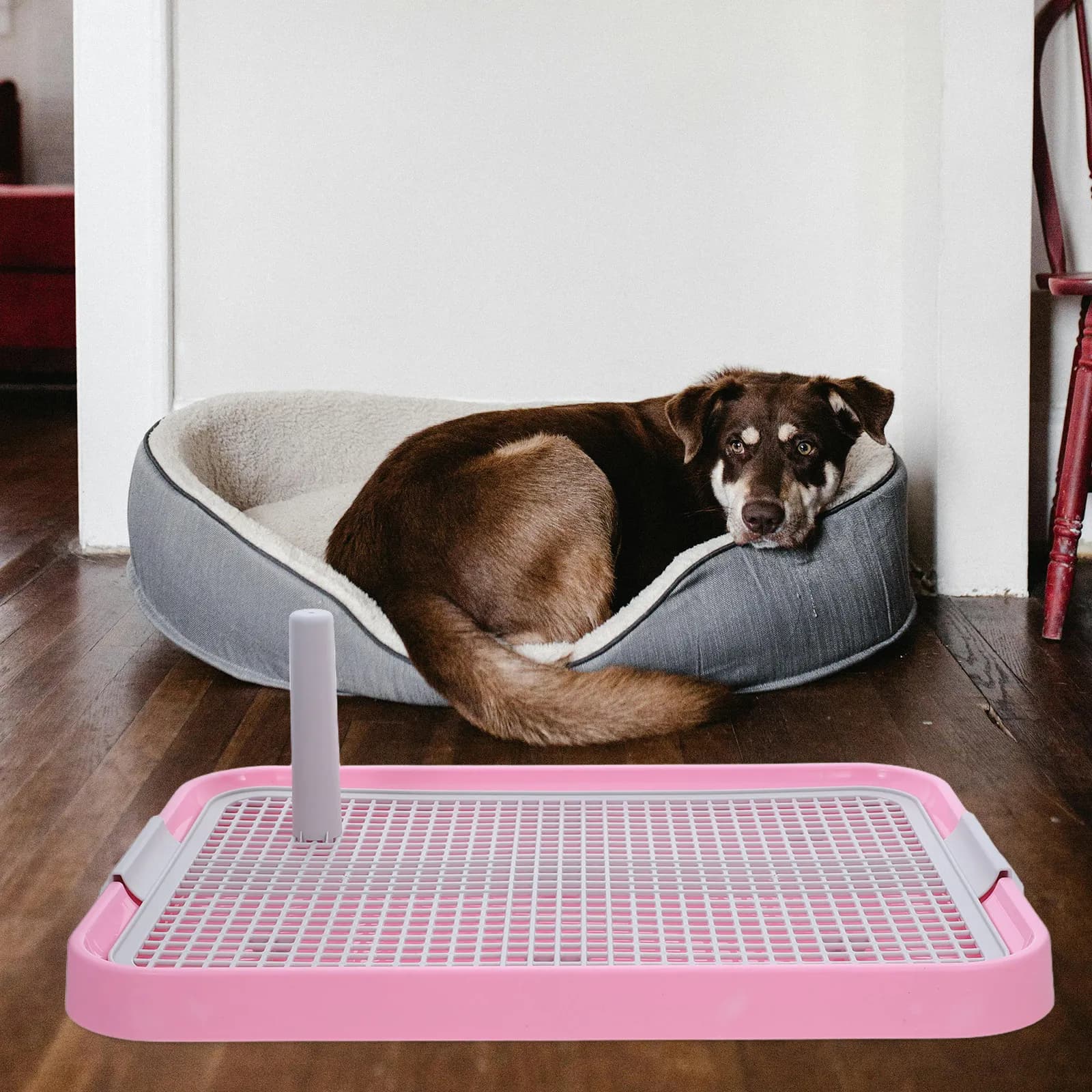 Toilette per Cani da Interno, Vassoio Portatile per Animali Domestici, Alternativa alla Lettiera per Gatti, Tappetino per Addestramento Cuccioli