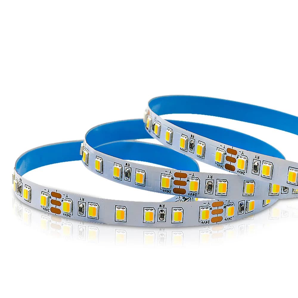 12V 24V 5mm 8mm 10mm 2835 CCT 2 in 1 Striscia LED 120LED/M Doppio colore Bianco caldo e bianco Nastro LED led striscia di luce flessibile 5M