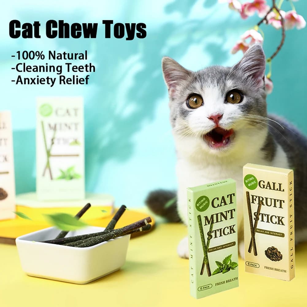 Gall Fruit Stick For Cat Pet Teeth Sticks Pure Natural Catnip Cat multiuso Cat Cleaning denti Toy pratico Pet Cat Supplies