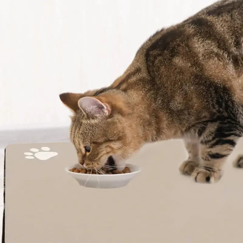 Tovaglietta per alimenti per animali domestici Tappetino antiscivolo per erogatore d'acqua per cani per pavimenti Tappetino per ciotola per cani impermeabile Accessori per cani Forniture per animali domestici Asciugatura rapida