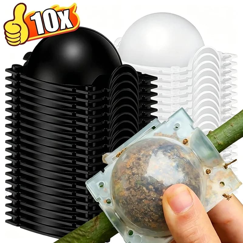 Sfere di Rooting Pod per la Divisione delle Piante, Scatola per la Crescita delle Radici ad Alta Pressione per Alberi e Fiori, Vaso da Vivaio, Attrezzi da Giardino
