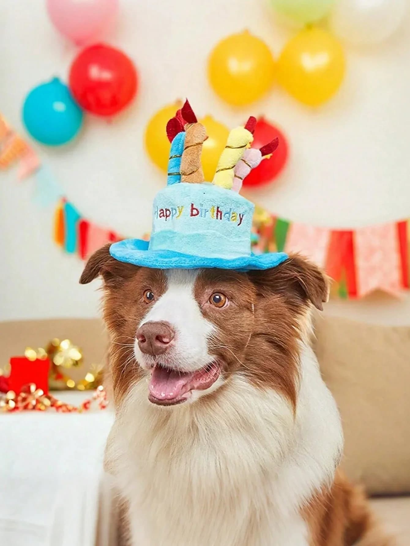 Set Decorazioni Compleanno per Animali Domestici 2025 – Cappello e Giocattolo Torta 2-in-1, Decorazione Universale per Gatti e Cani Stile Ins