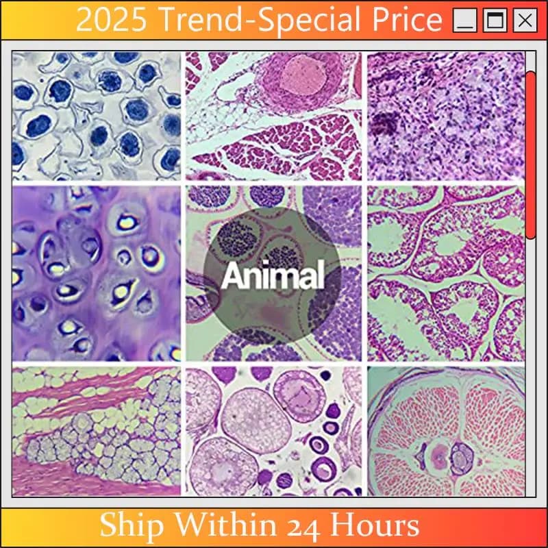 A61Z Offerte Vetrini per microscopio con campioni da bambini, vetrini per microscopio per microbiologia per adulti nei bambini, 100 pezzi