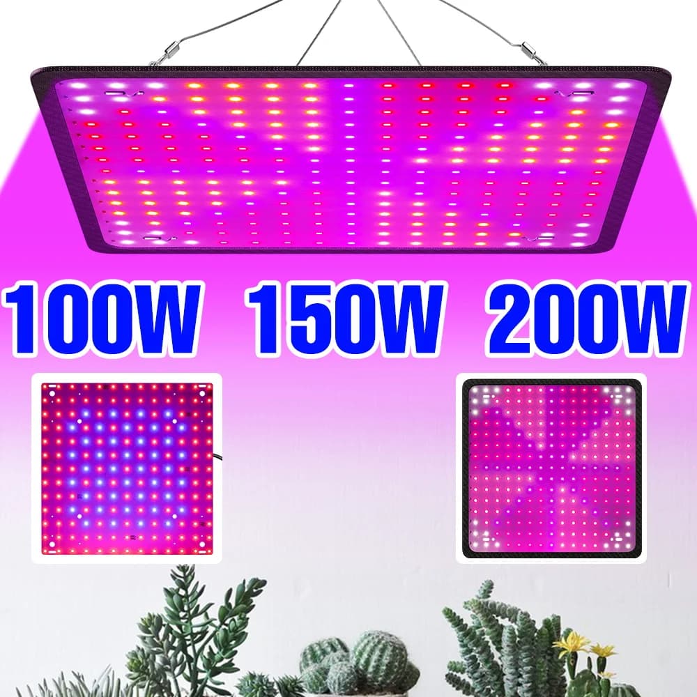 LED Cultivation Lamp 200W, Complete Spectrum, Quantum Board, for Indoor Plants, Serre, Fruit, Seeds, Flowers and Vegetables