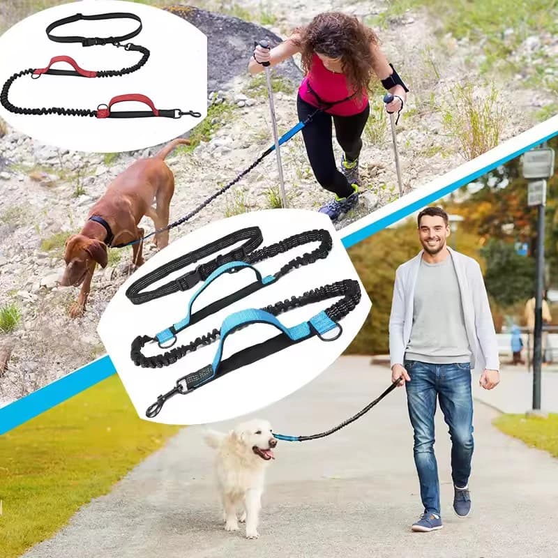 Guinzaglio Doppio Elastico per Cani, Corda di Trazione Riflettente per Corsa Notturna con Doppia Impugnatura