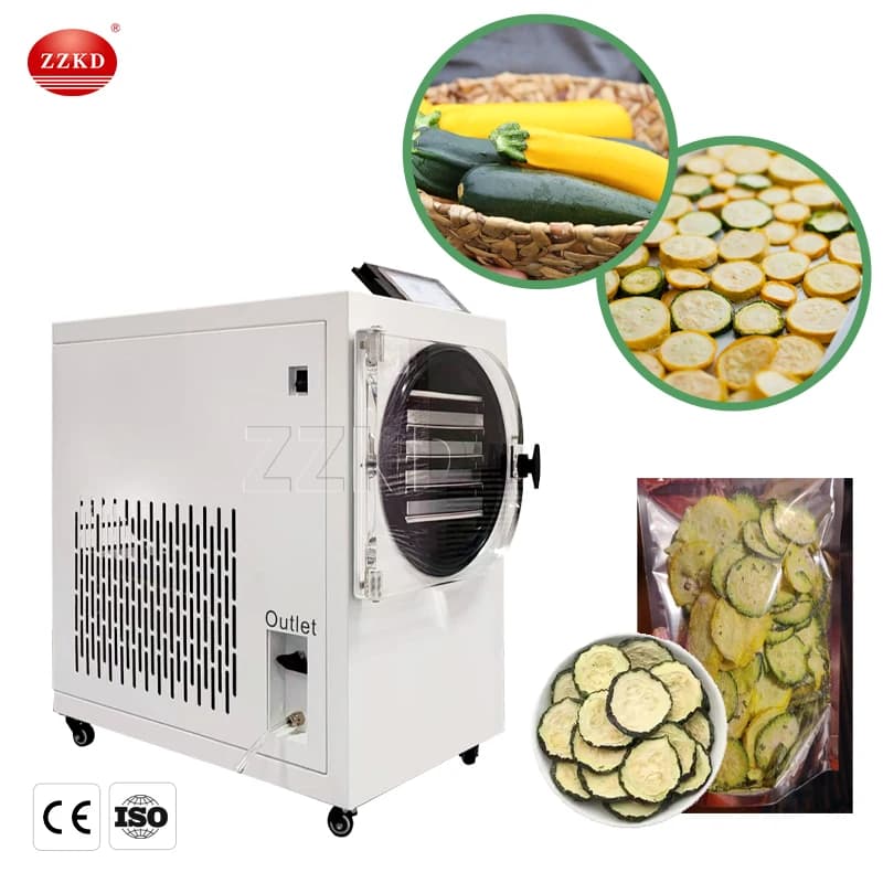 Mini Liofilizzatore Domestico per Carne, Frutta e Alimenti - Macchina per Essiccazione e Liofilizzazione