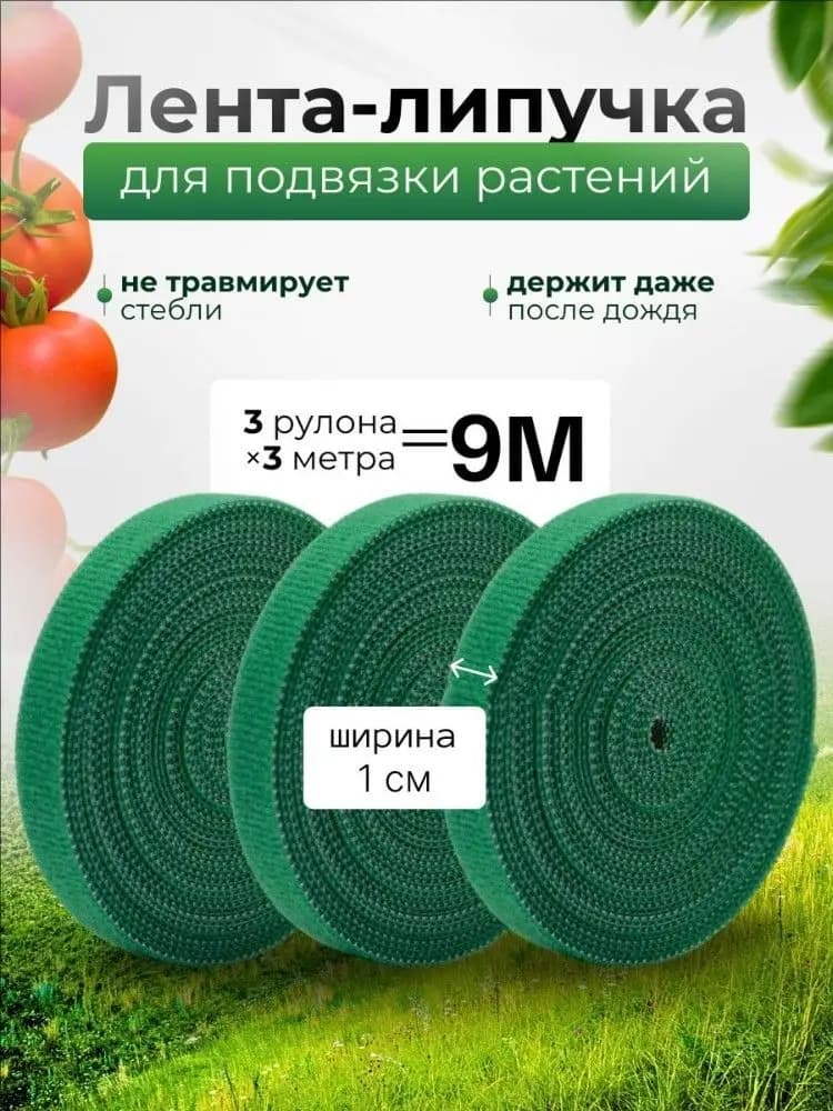 Fascette per Piante in Nylon Riutilizzabili - Nastro Regolabile con Chiusura a Strappo per Supporto in Giardino, Piante Rampicanti (Casa e Giardino)