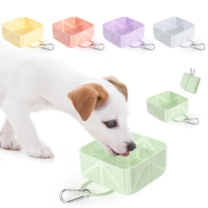 Ciotola pieghevole in silicone per cani e gatti, ciotola da viaggio per acqua e cibo per animali domestici, accessori per passeggiate ed escursioni.