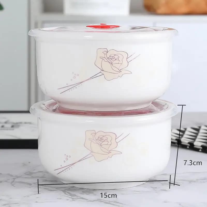 Ceramic Food Container Microwave Safe Lunch Box with Lid Fridge Sealed Soup Bowl Office Lunch Container No Instant Noodles