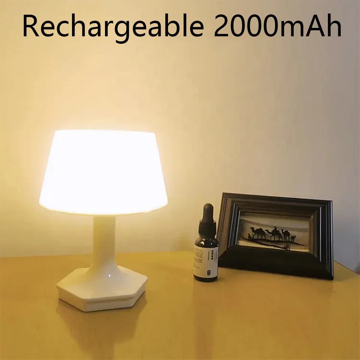 Simple LED Rechargeable Table Lamp Two Color Switch Bedside Table USB Desk Lamp Eye Care for Bedroom Reading Decoration Night Light
