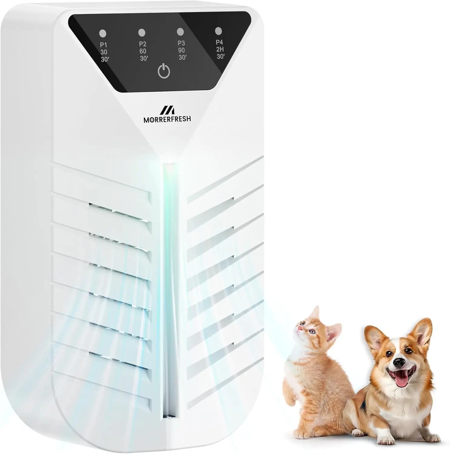 Purificatore d'Aria Compatto da Inserire con Carbone Attivo e Ioni Negativi per Eliminare gli Odori in Piccoli Spazi Domestici