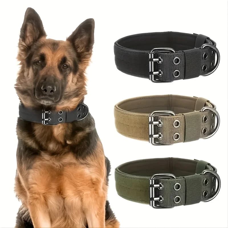 Collare Tattico per Cani con Fibbia Regolabile a Cinque Livelli per Cani di Taglia Grande, Adatto per l'Uso con Guinzaglio