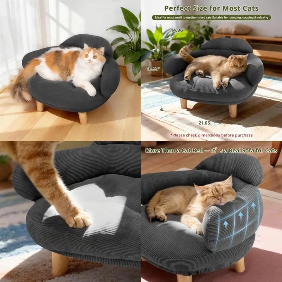Divano per Gatti Stile Arredamento con Rivestimento Rimovibile in Velluto di Cotone, Gambe in Legno di Pino Massiccio, per Gatti e Cani di Piccola Taglia