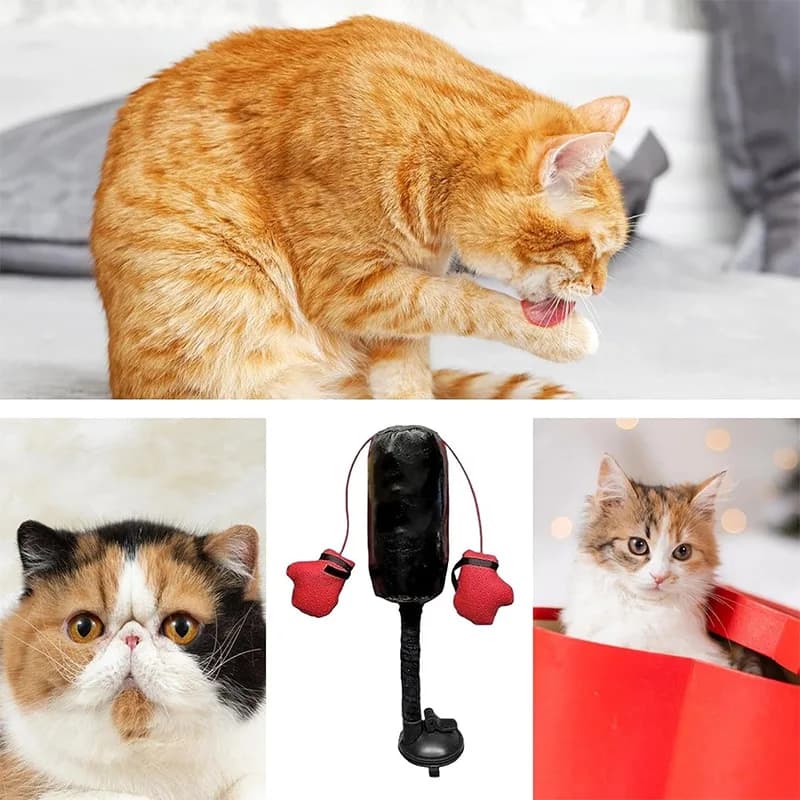 1pc Interesting boxing toys for cats New interactive toys for kittens for pets Boxing bag Cats relieve boredom Boxing bag Play gym toys