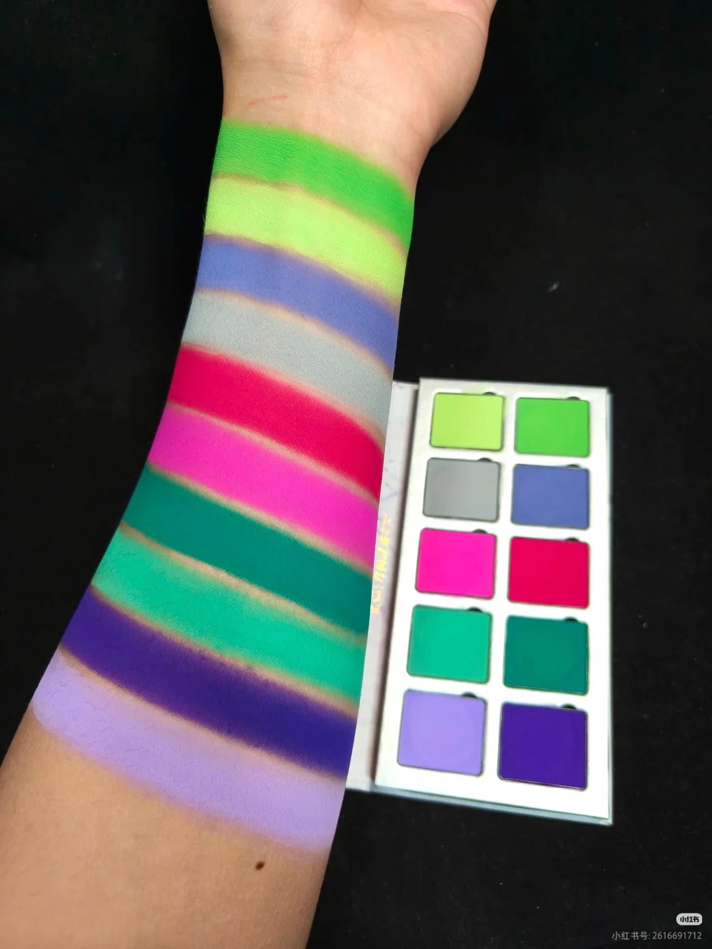 DRAMO Moon Wheel Project Series Ombretto a 10 colori Matte Shimmer Chameleon Eye Shadow Palette Trucco per occhi