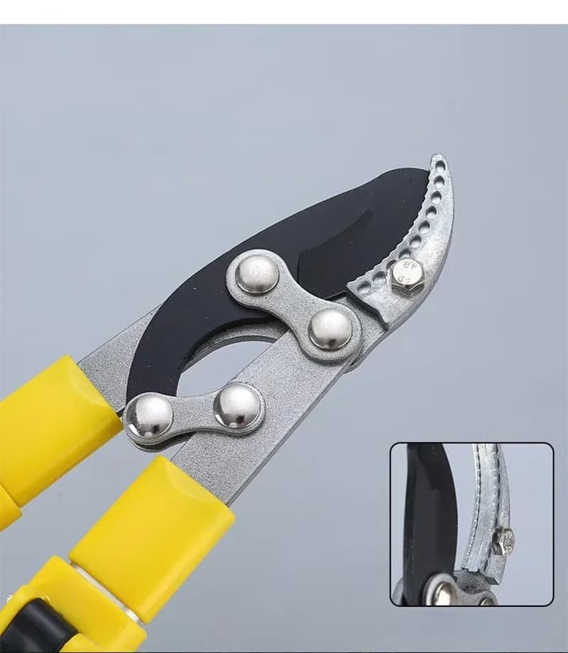 Power Scissors for Heavy Coppers, Fruit Tree Perfections and Garden Care