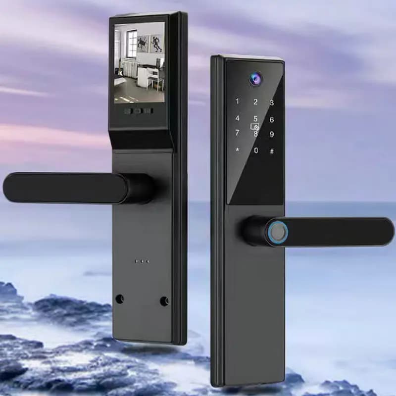Serratura Intelligente Tuya con Impronta Digitale e Videocitofono WiFi per Sicurezza di Casa e Appartamento, Serratura con Password Nera Standard
