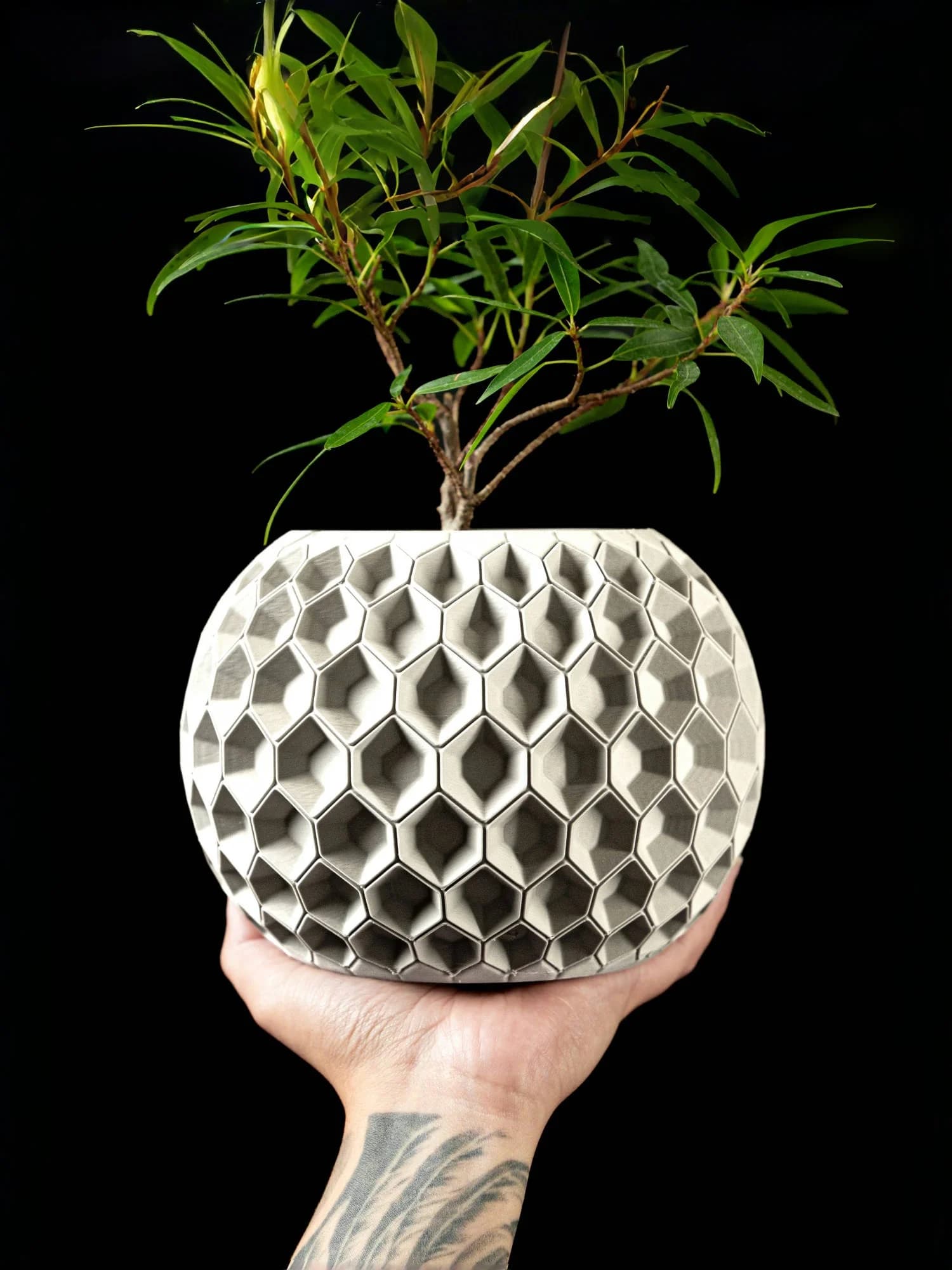 Modern minimalist 3D printed flower pots - biodegradable planters for home decoration, eco-friendly sustainable gifts (Hexa)