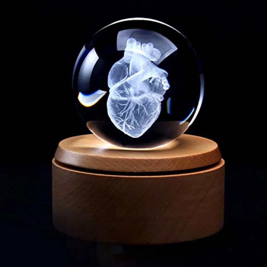 Modello Anatomico 3D del Cuore Umano in Sfera di Vetro Cristallo con Incisione Laser e Base LED per Appassionati di Scienza
