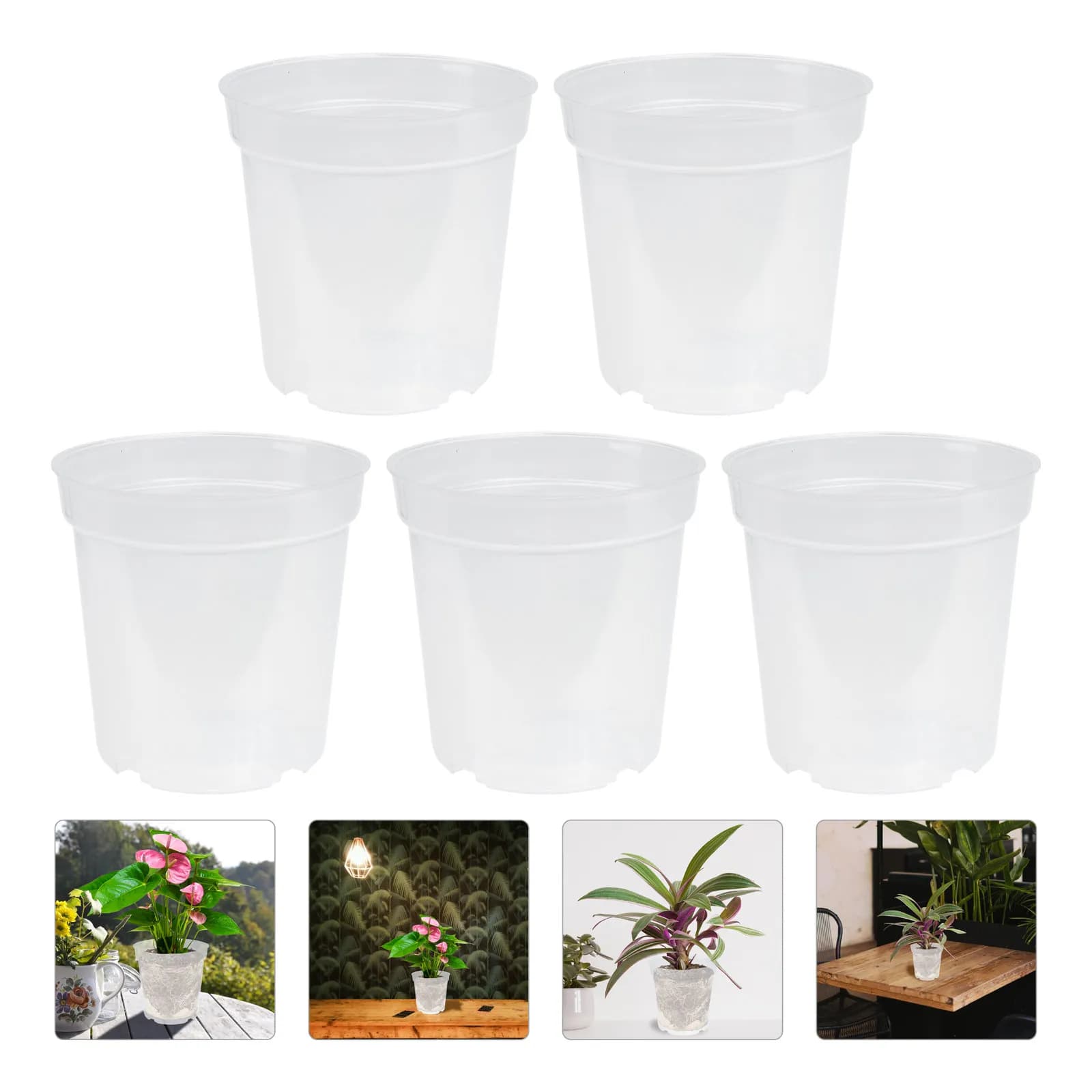 Set of 5 Transparent Plastic Vases for Semina, Cloning and Germination in Human Environment and Hot for Flowers, Vegetables and Orchids