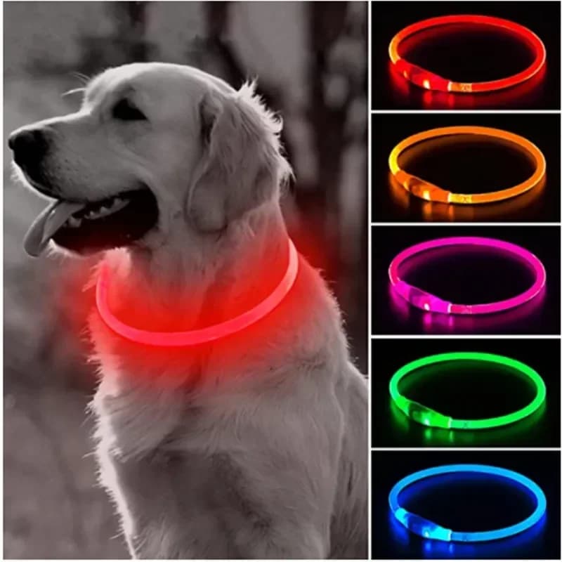 Collare per cani con luce a led staccabile incandescente con ricarica USB Guinzaglio luminoso Prodotti per cani da compagnia Carica USB Accessori luminosi per animali domestici