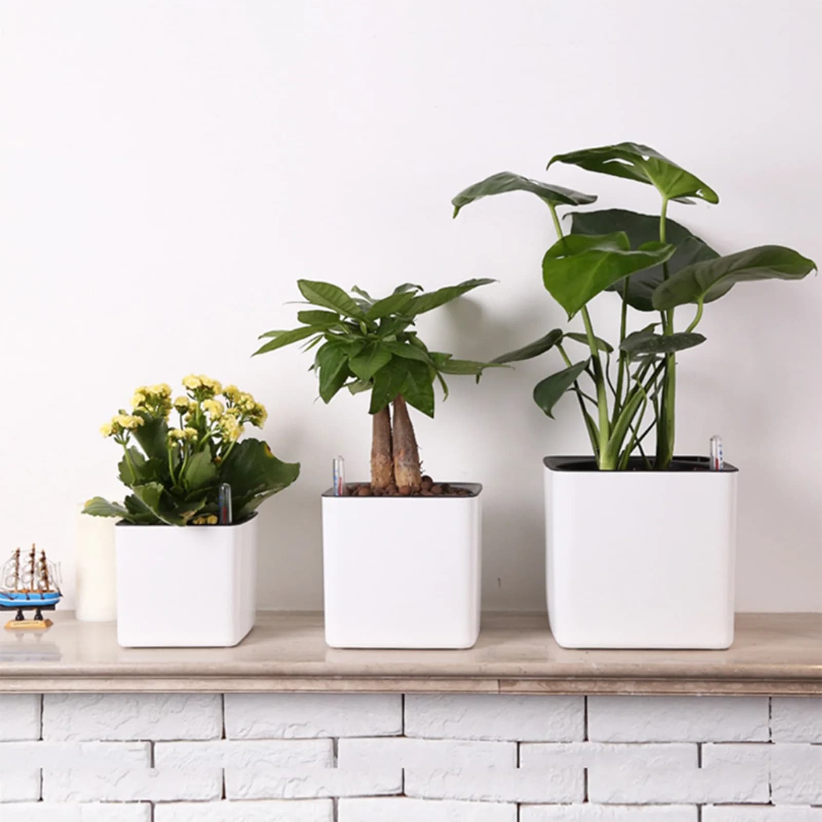 Vaso da fiori pigro di 3 dimensioni Pianta verde Vaso da fiori con irrigazione automatica Assorbimento automatico dell'acqua Fioriere in vaso di edera verde per la casa