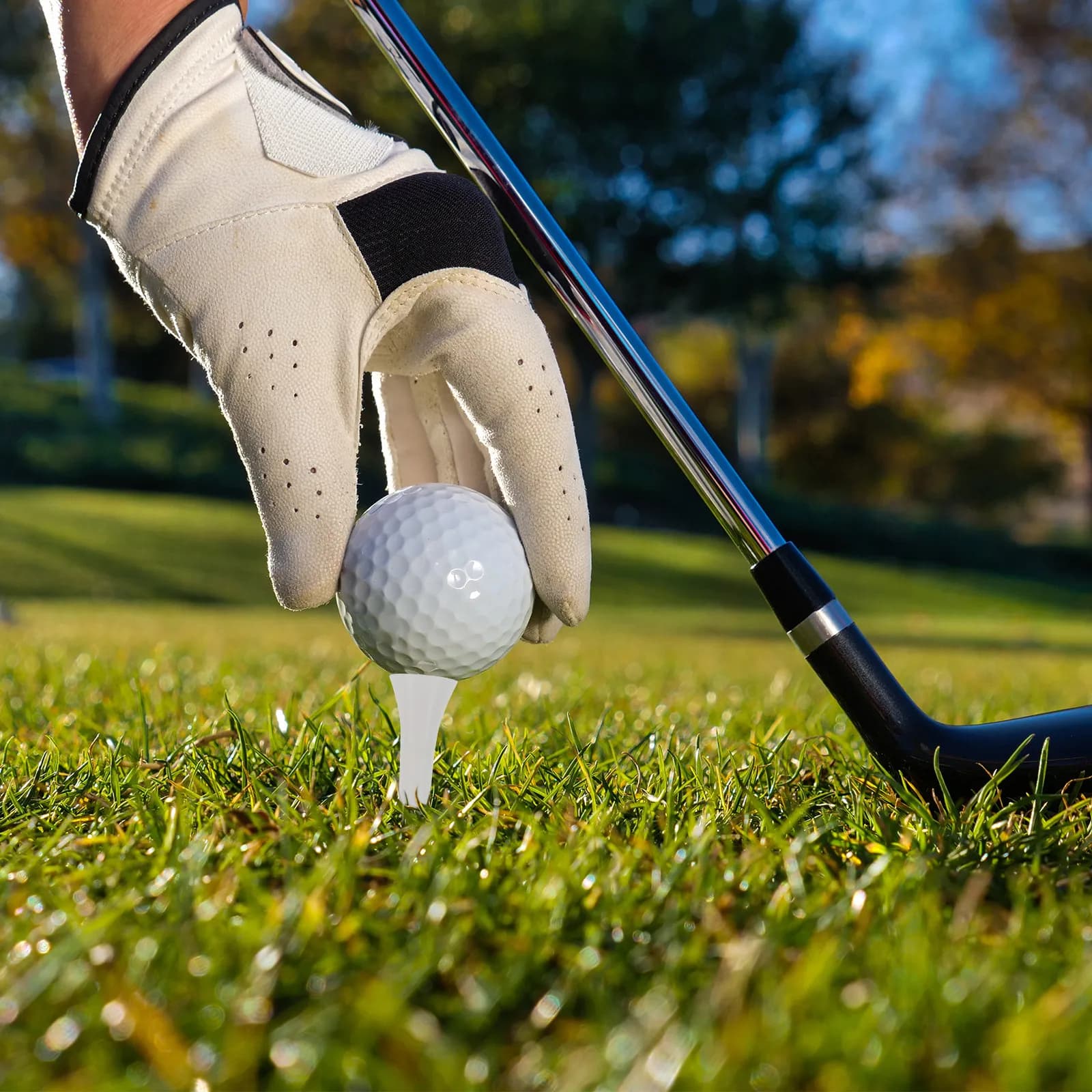 Porta tee da golf leggero da 2 pezzi, struttura compatta, facile da usare, organizer portatile per tee, per accessori da allenamento per la pratica del golf