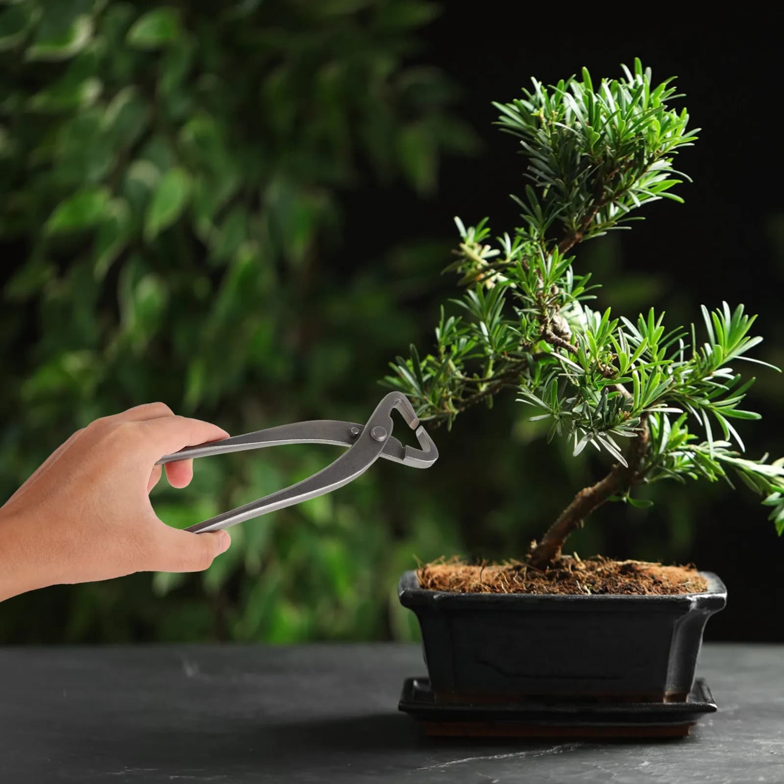 Bonsai Tools Pruning Shears Scissors Garden Clippers Branch Splitter Lightweight Ergonomic Bonsai Branch Puller