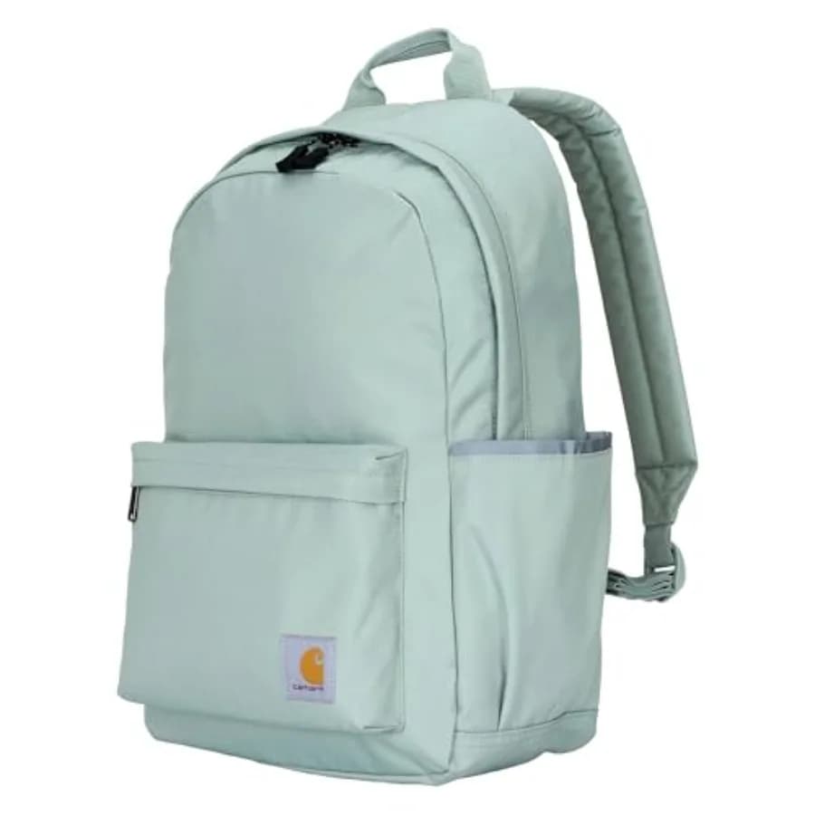 Zaino Classico per Laptop da 21L, Borsa Resistente all'Acqua con Scomparto per Laptop da 15 Pollici e Scomparti Organizzativi