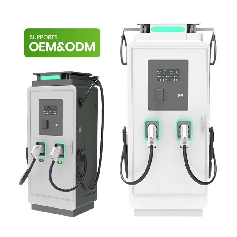 Customized Customize New Commercial Electric Car Charging Station Double Fast DC 160kw CCS1 CCS2 Ultra Fast EV Charger