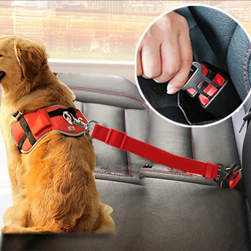 Cintura di sicurezza per auto per cani Protezione di sicurezza Accessori per animali domestici da viaggio Collare per guinzaglio per cani Imbracatura per auto solida staccabile