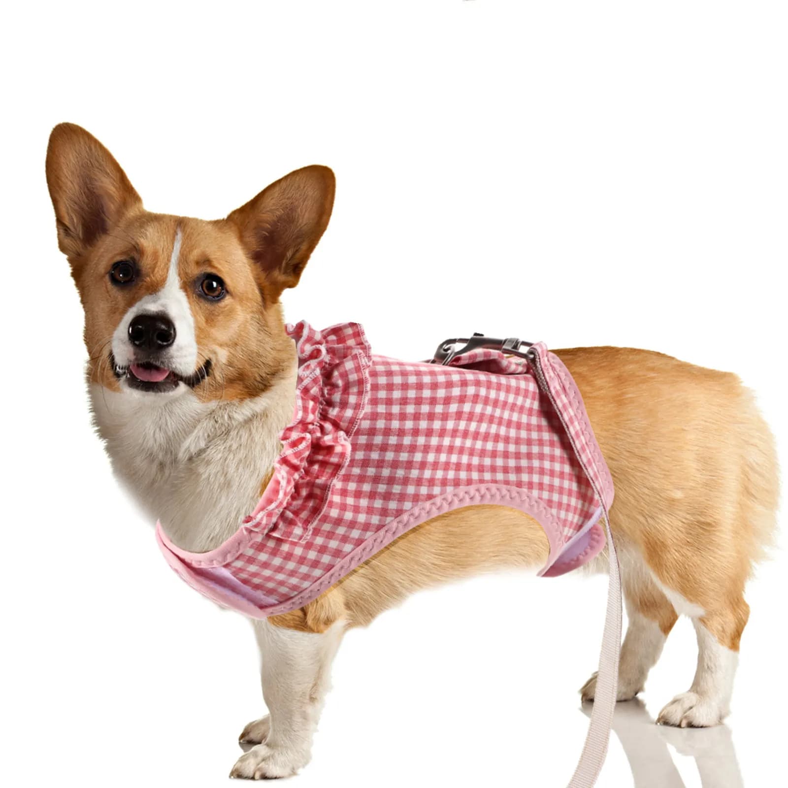1Set Pet Traction Rope Soft Mesh Adjustable Vest Harness Leash for Small Medium Dogs Cats Walking Training Cat Leash