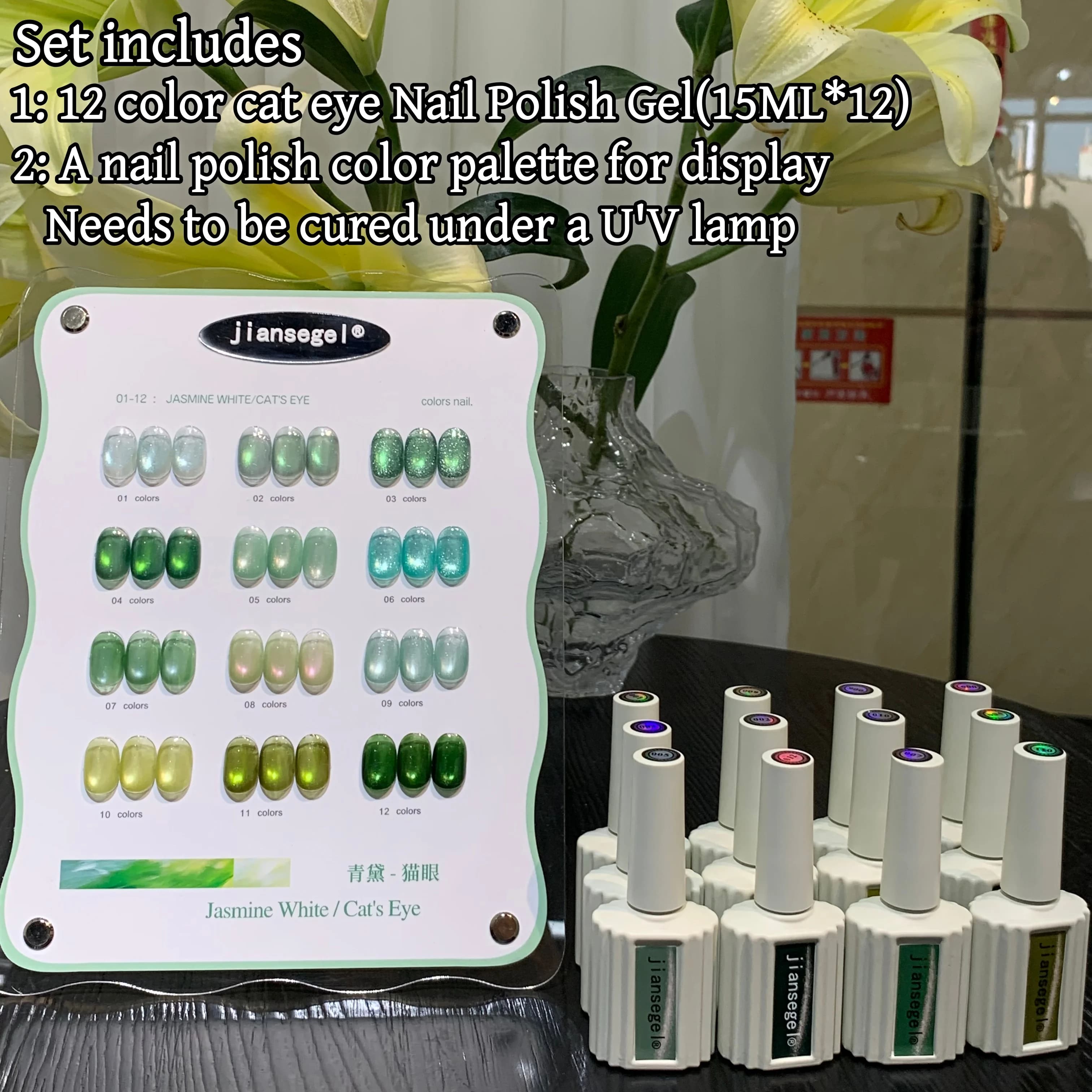 Set di smalti gel per unghie Cat Eye da 12 colori, uso professionale per saloni di bellezza, include tabella colori per esposizione, perfetto per l'effetto manicure