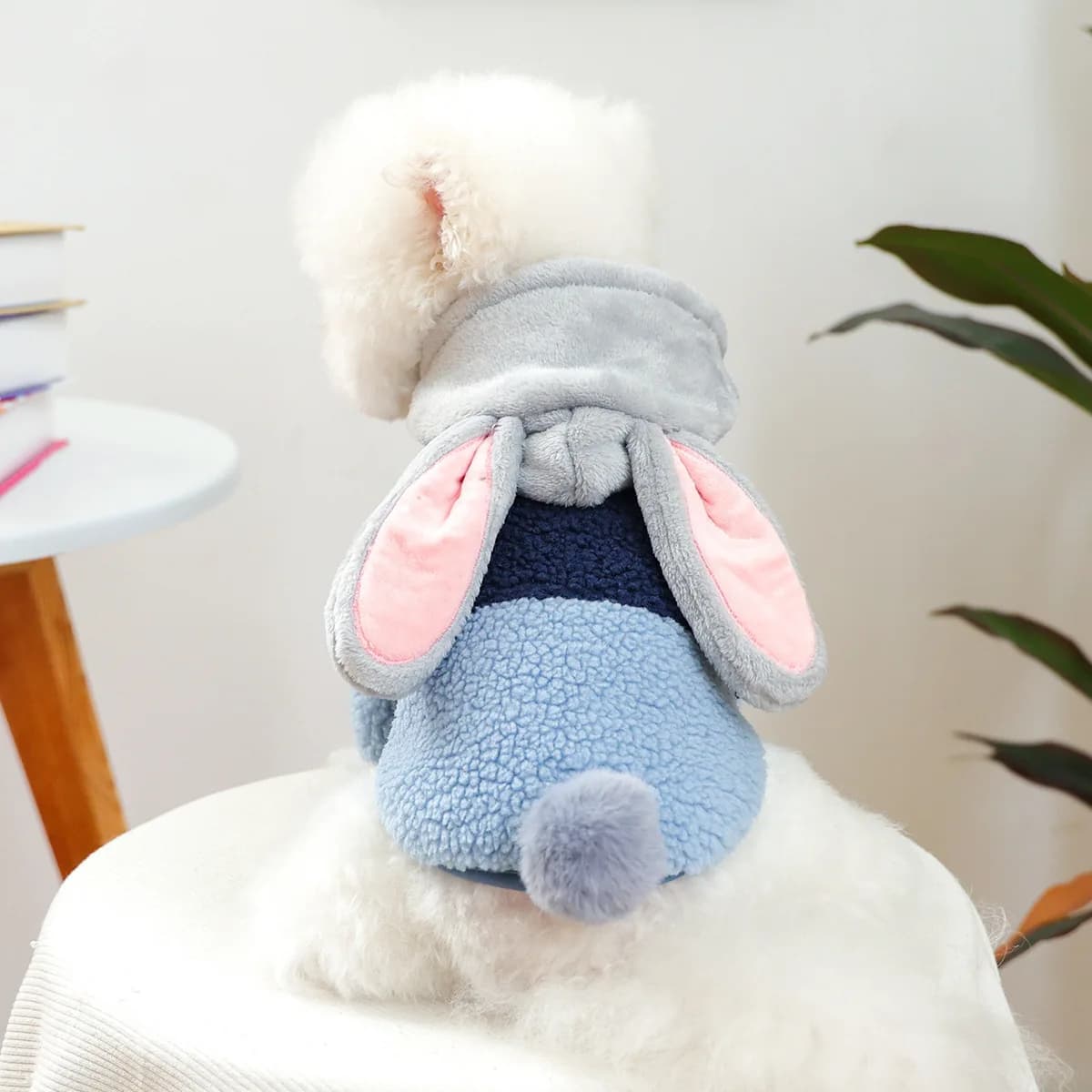 Felpa con cappuccio per cani in pile di coniglio per piccoli cuccioli di animali Autunno Inverno D-Ring Abbigliamento per animali domestici Abbigliamento Giacca con imbracatura a due gambe Cappotto per gatti York