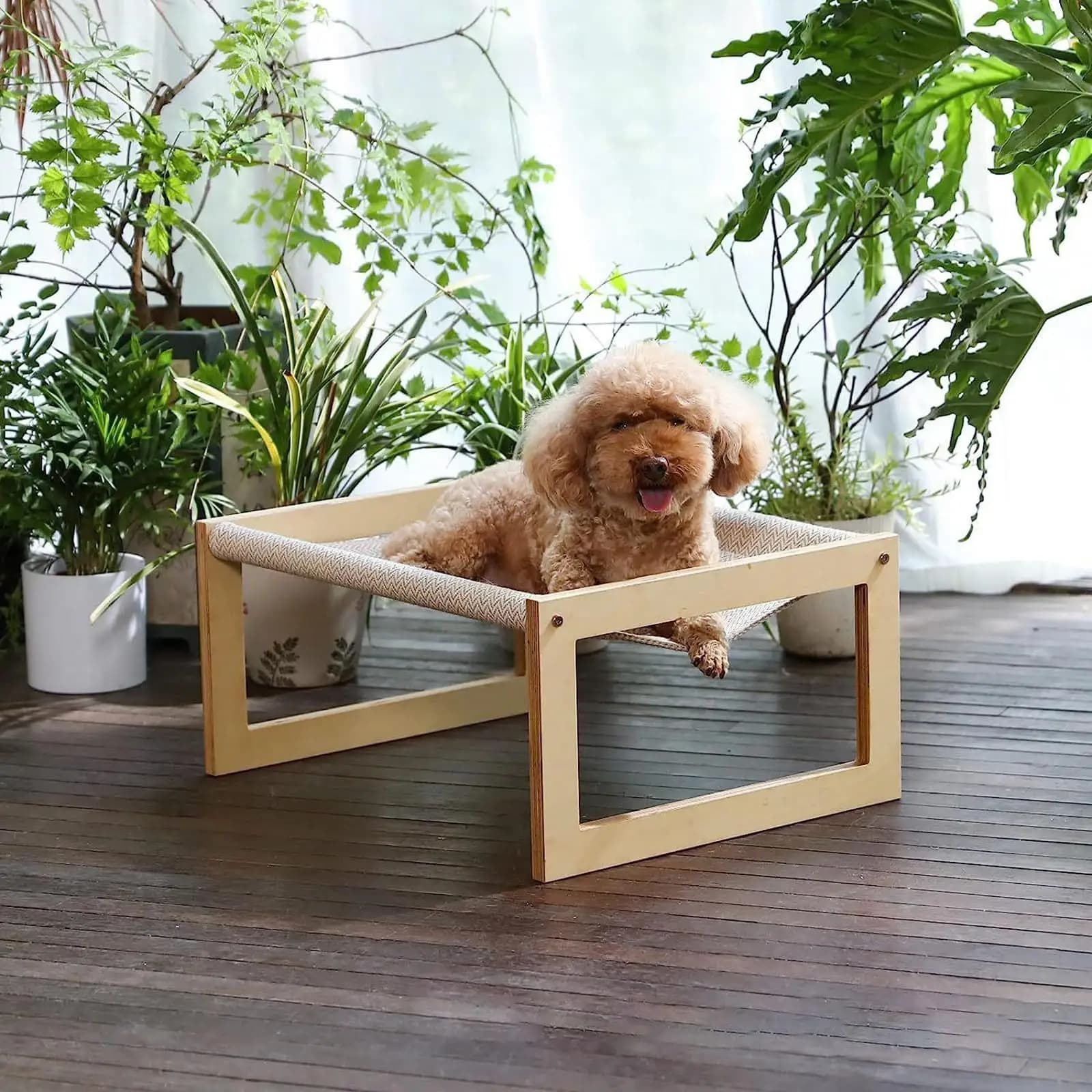 Cat Hammock Bed (10 Inch Height), Non-Slip Pet Play Chair, Kitten Scratching