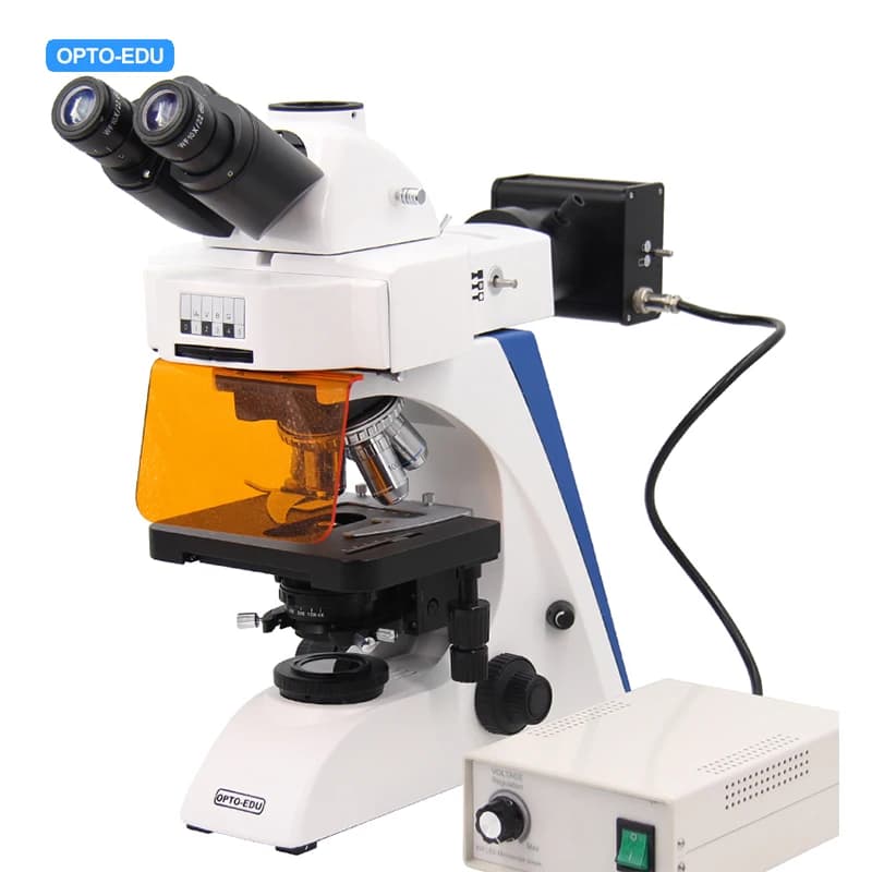 OPTO-EDU A16.2603-LT4 Microscopio trinoculare LED Quarduple, piano infinito