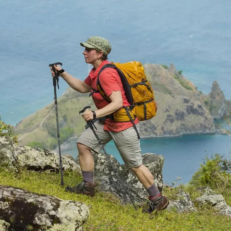 Trekking pole 2 pieces Trekking poles Telescopic poles Four sections ergonomic cushioning for urban walks