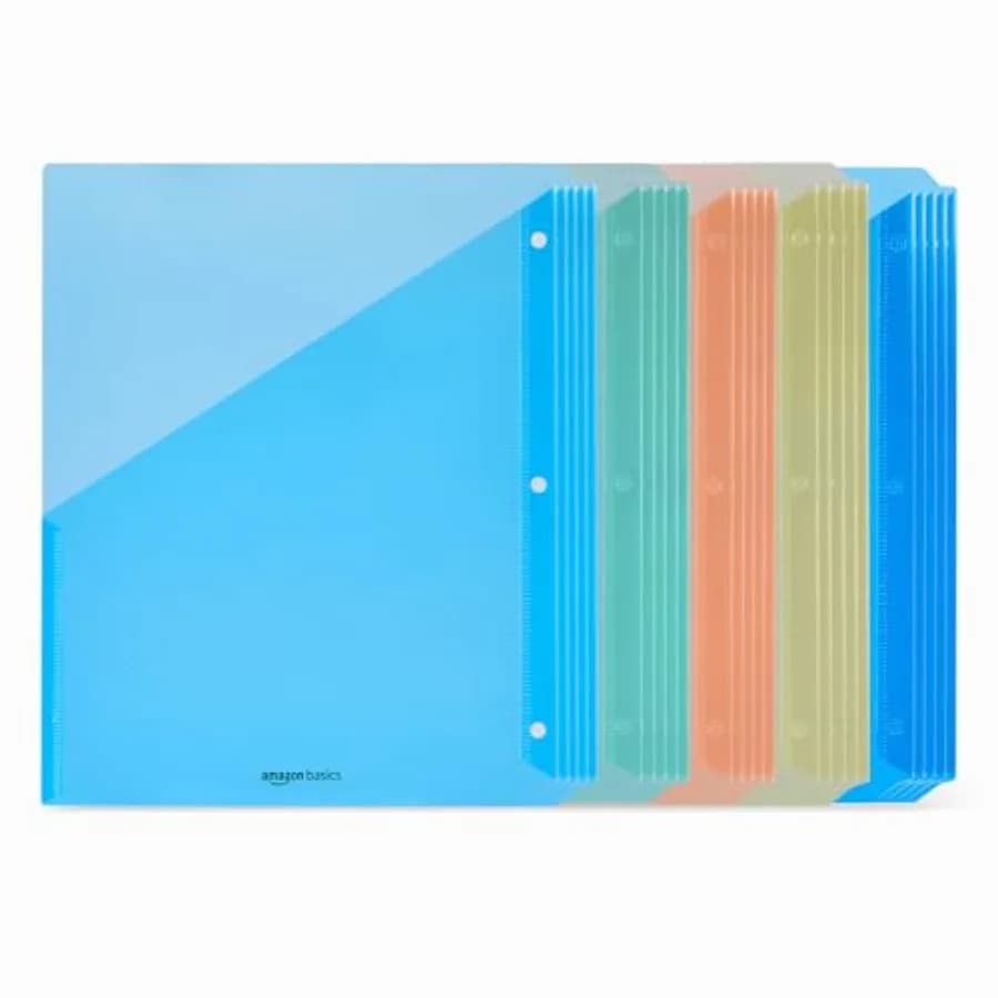Binder Organizer, Plastic Document Folders, File Jacket, 3-Hole Punch, 9.3 x 11.2 Inch, Assorted Colors, 2