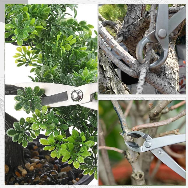 Set of Bonsai Power Scissors, Gardening Scissors with Spherical Joint, Concave Tronchesino, Jin Grips, Wire Spool, Bonsai Scissors, Radical Hook